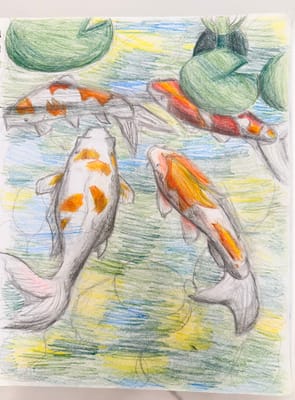 Koi Fish