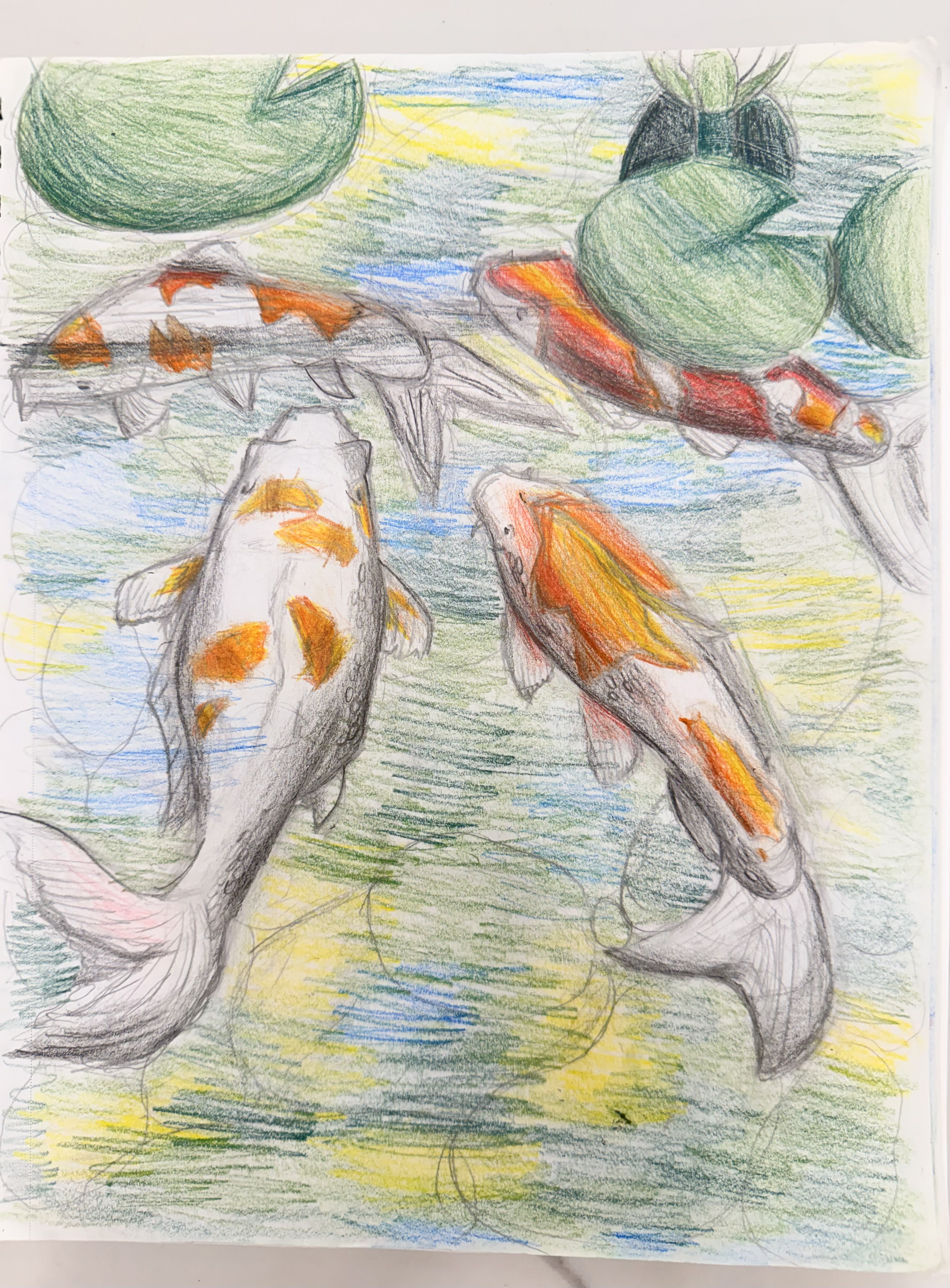Koi Fish